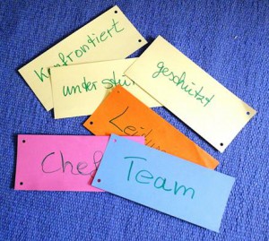 6grossmann-coaching-supervision